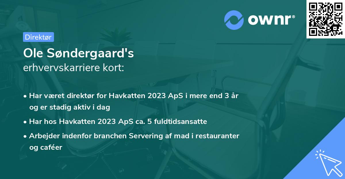 Ole Søndergaard's erhvervskarriere kort