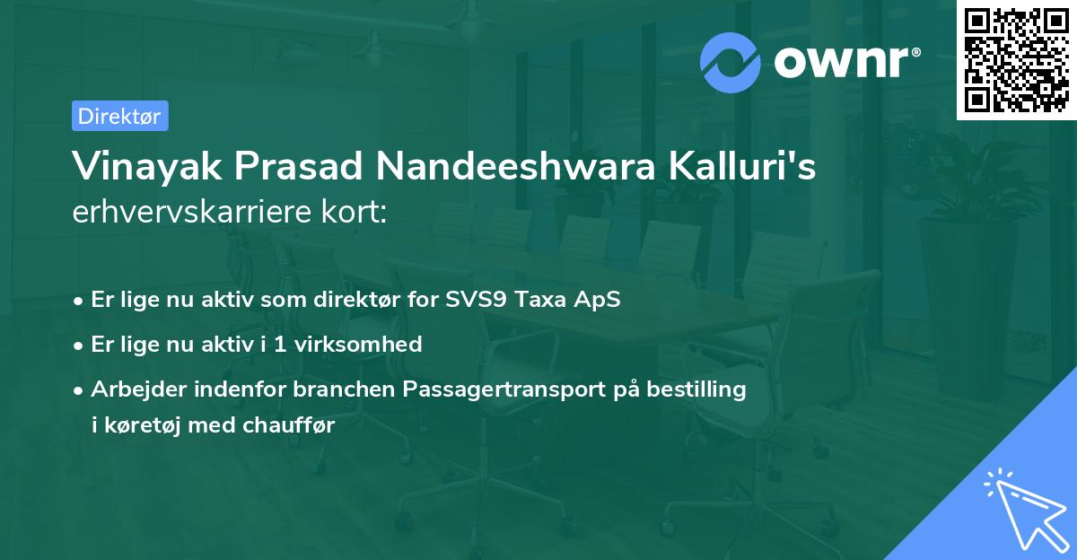 Vinayak Prasad Nandeeshwara Kalluri's erhvervskarriere kort