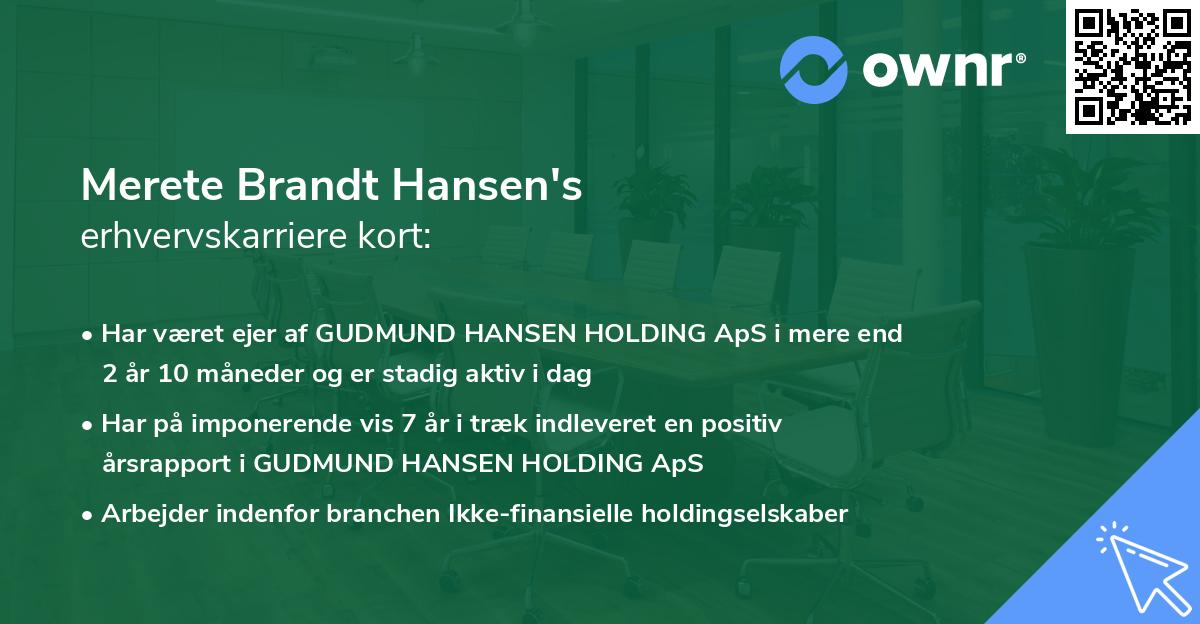 Merete Brandt Hansen's erhvervskarriere kort