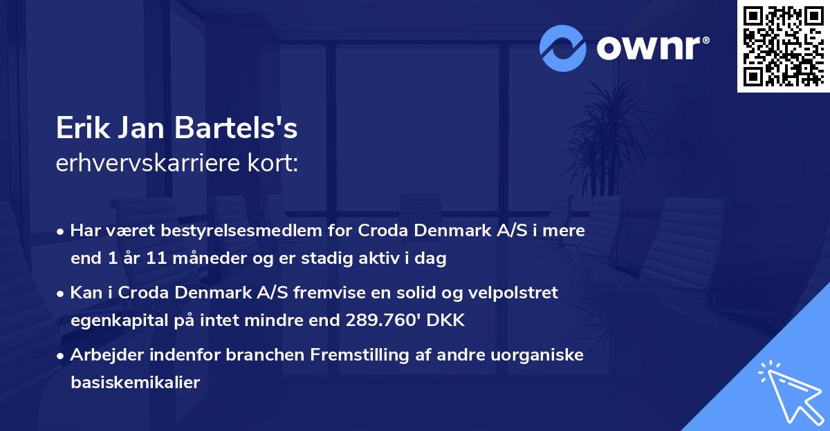 Erik Jan Bartels's erhvervskarriere kort