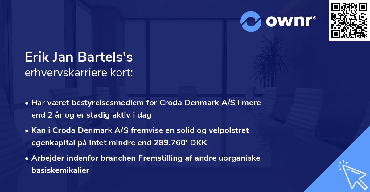 Erik Jan Bartels's erhvervskarriere kort