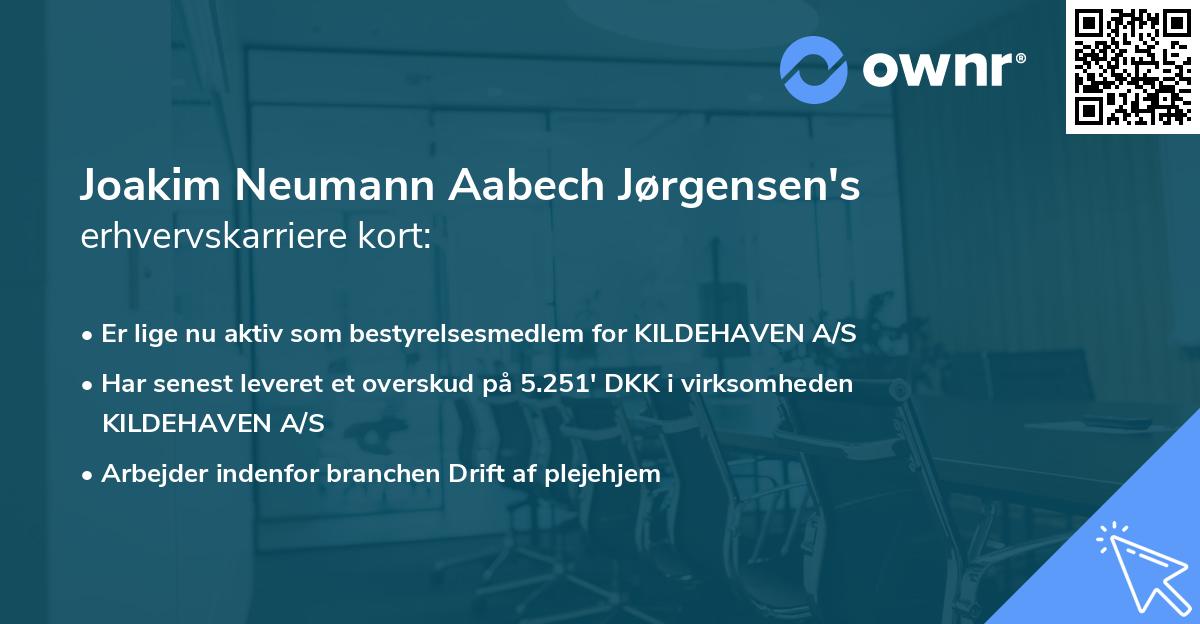 Joakim Neumann Aabech Jørgensen's erhvervskarriere kort