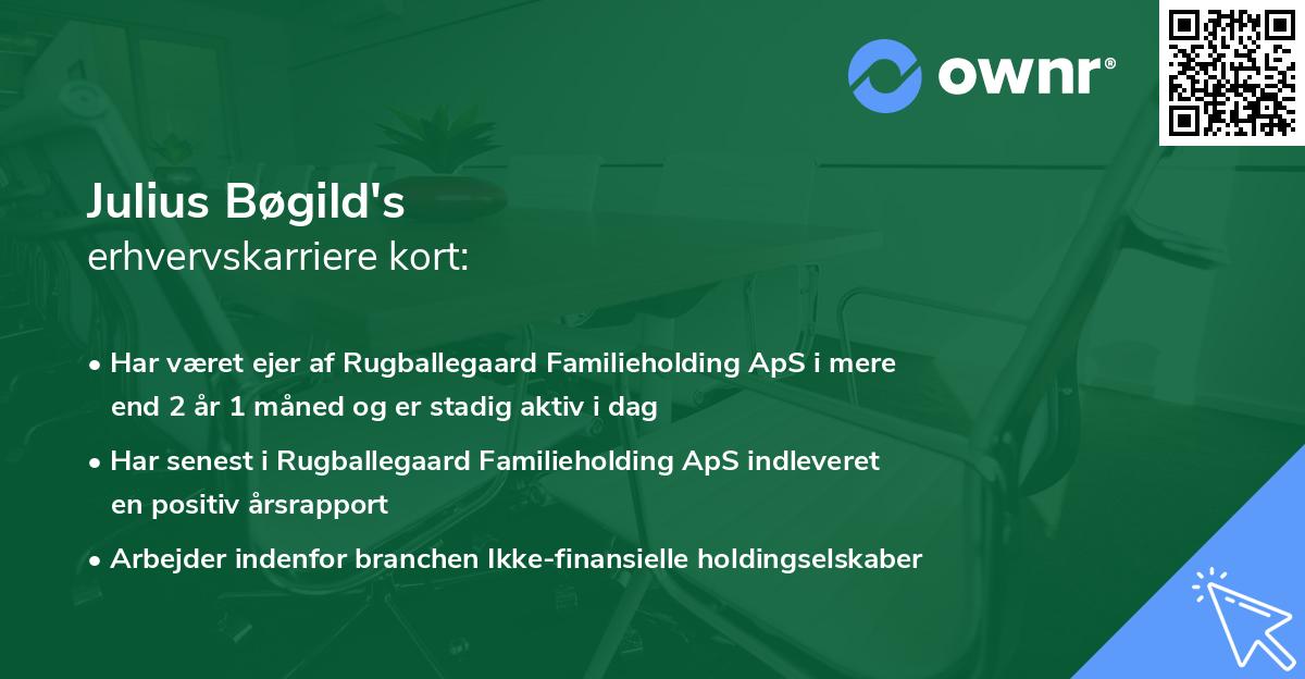 Julius Bøgild's erhvervskarriere kort