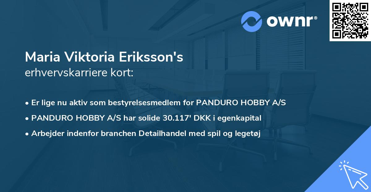 Maria Viktoria Eriksson's erhvervskarriere kort