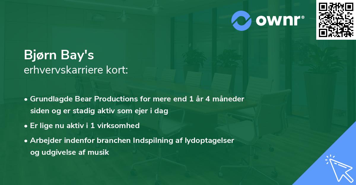 Bjørn Bay's erhvervskarriere kort