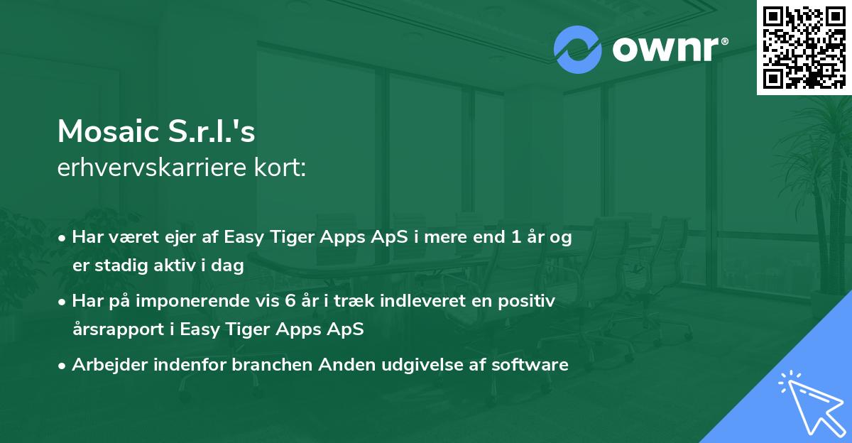 Mosaic S.r.l.'s erhvervskarriere kort