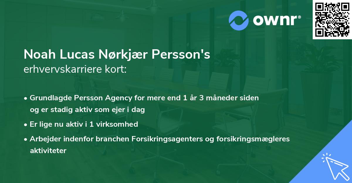 Noah Lucas Nørkjær Persson's erhvervskarriere kort