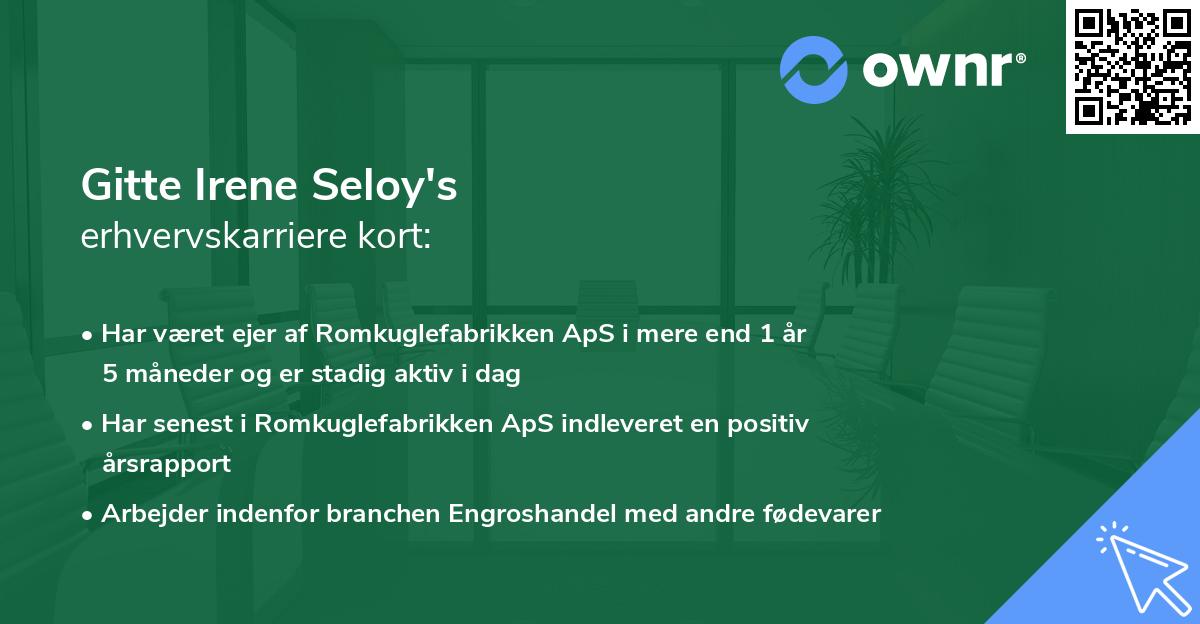 Gitte Irene Seloy's erhvervskarriere kort