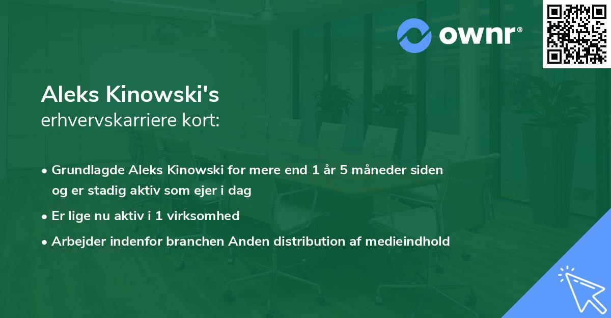Aleks Kinowski's erhvervskarriere kort