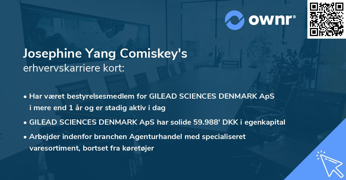 Josephine Yang Comiskey's erhvervskarriere kort