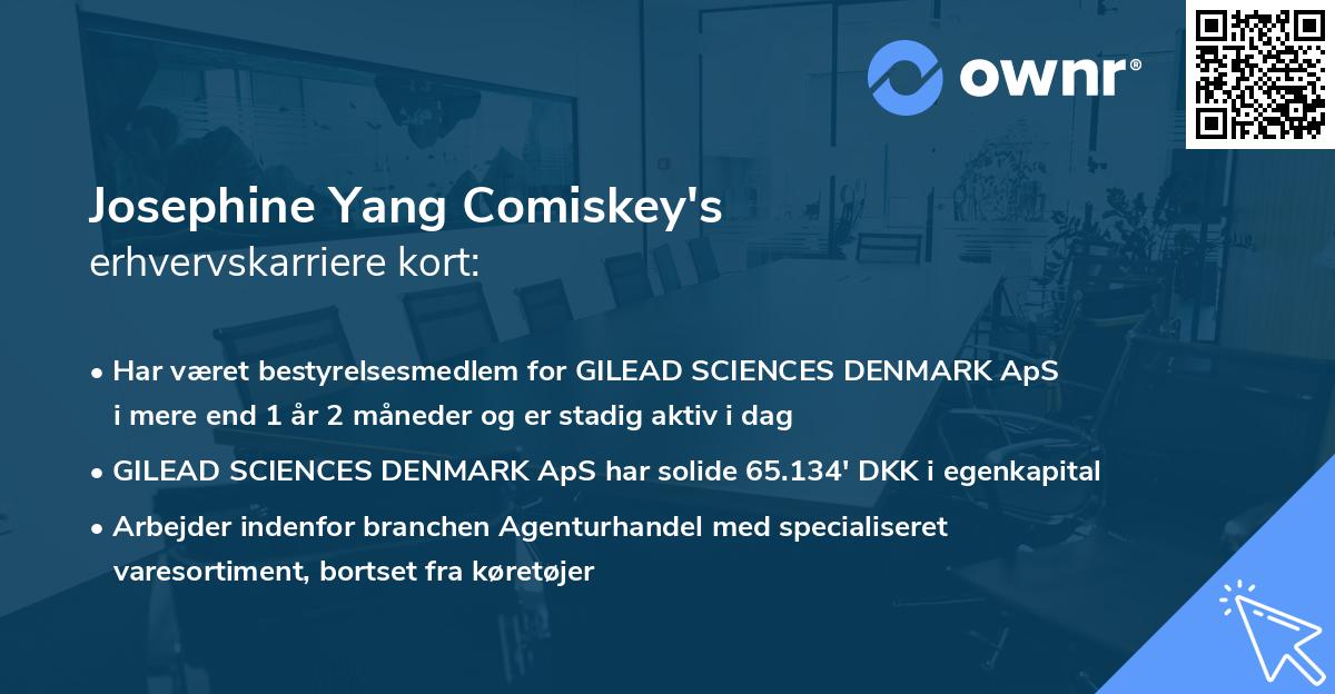 Josephine Yang Comiskey's erhvervskarriere kort