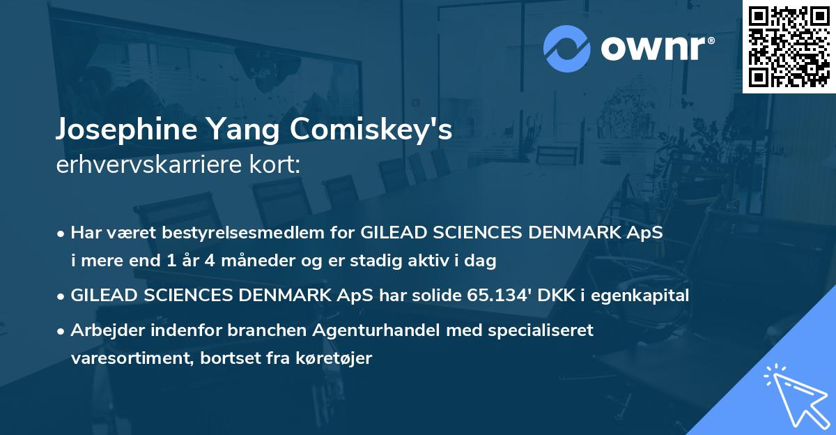Josephine Yang Comiskey's erhvervskarriere kort
