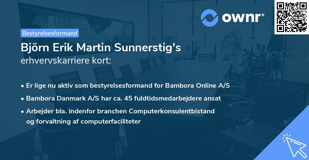Björn Erik Martin Sunnerstig's erhvervskarriere kort