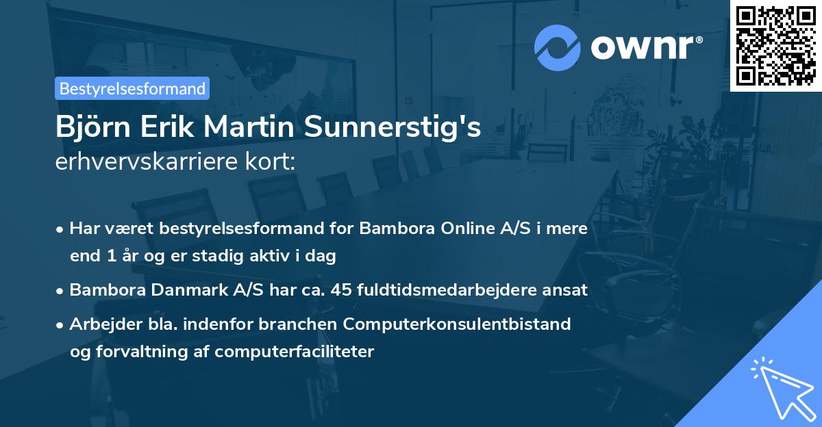 Björn Erik Martin Sunnerstig's erhvervskarriere kort