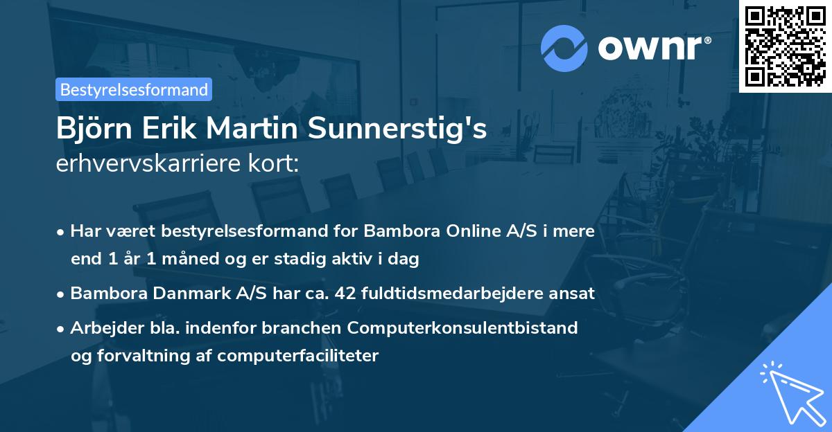 Björn Erik Martin Sunnerstig's erhvervskarriere kort