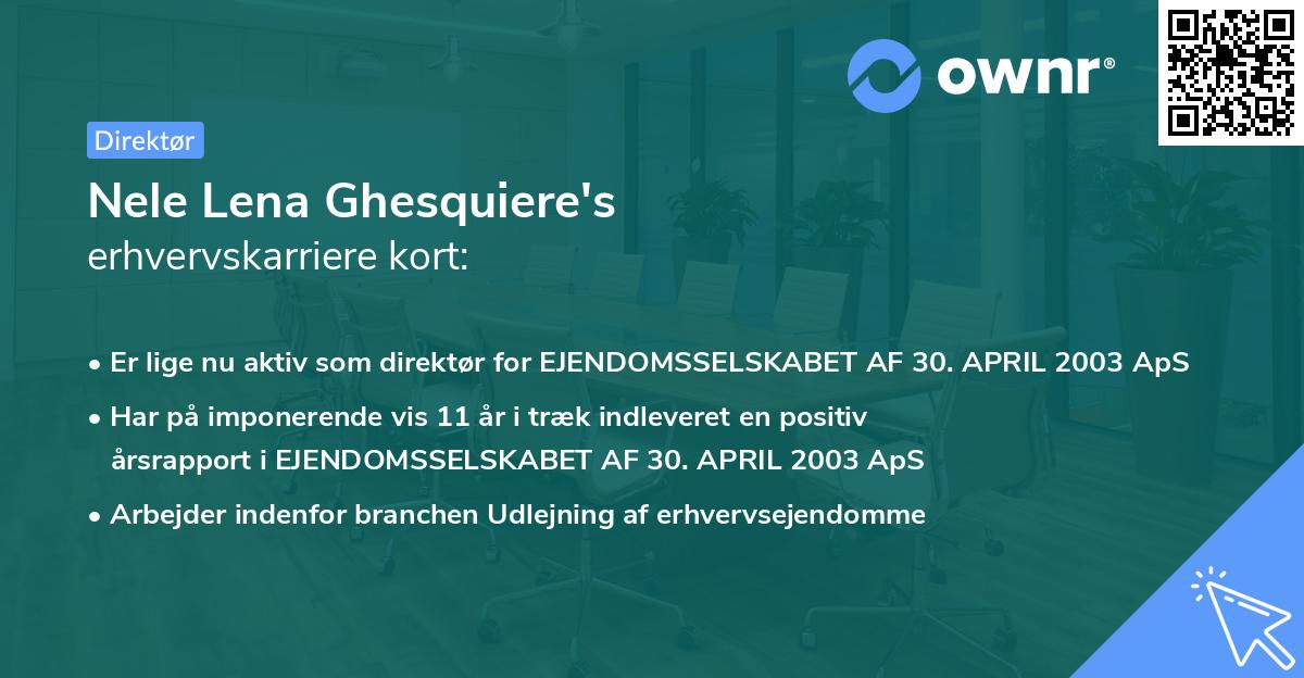 Nele Lena Ghesquiere's erhvervskarriere kort