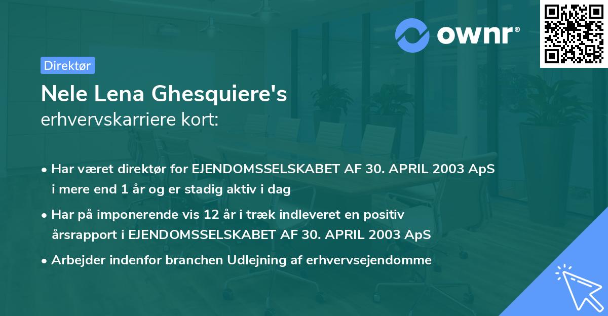 Nele Lena Ghesquiere's erhvervskarriere kort