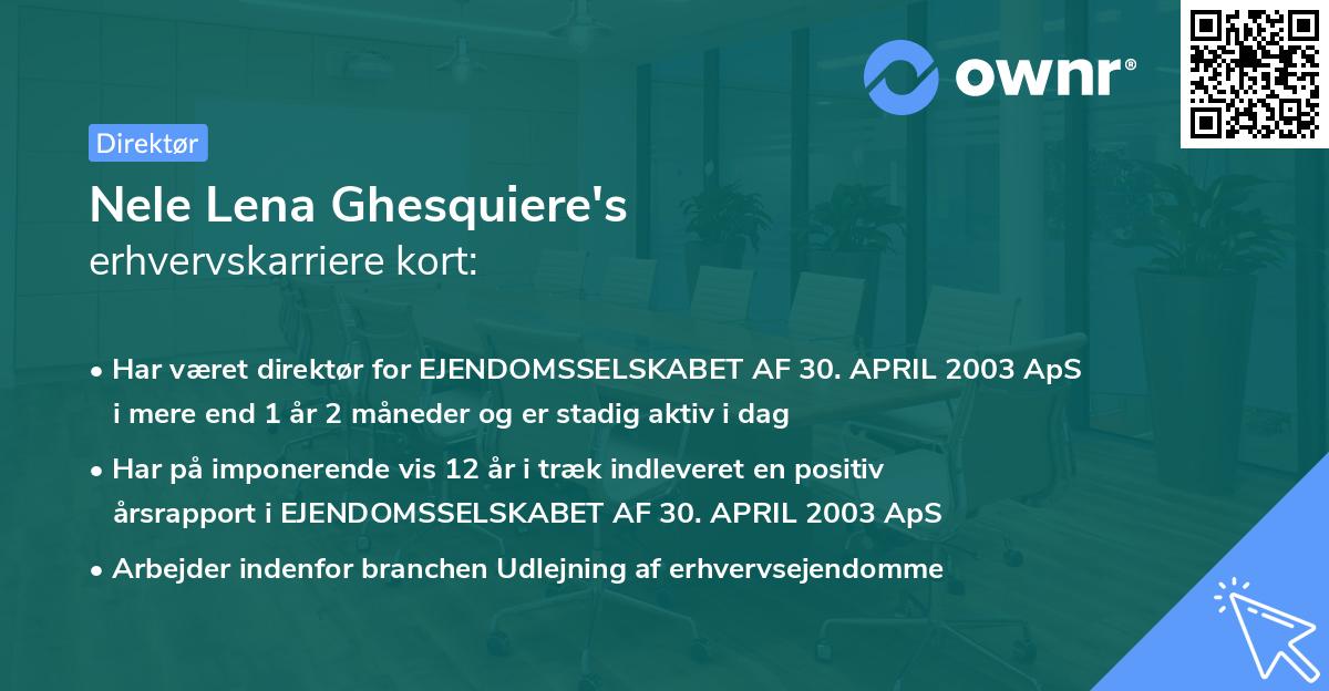 Nele Lena Ghesquiere's erhvervskarriere kort