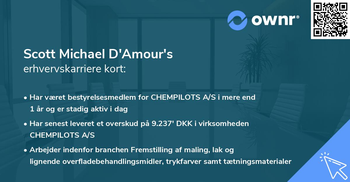 Scott Michael D'Amour's erhvervskarriere kort