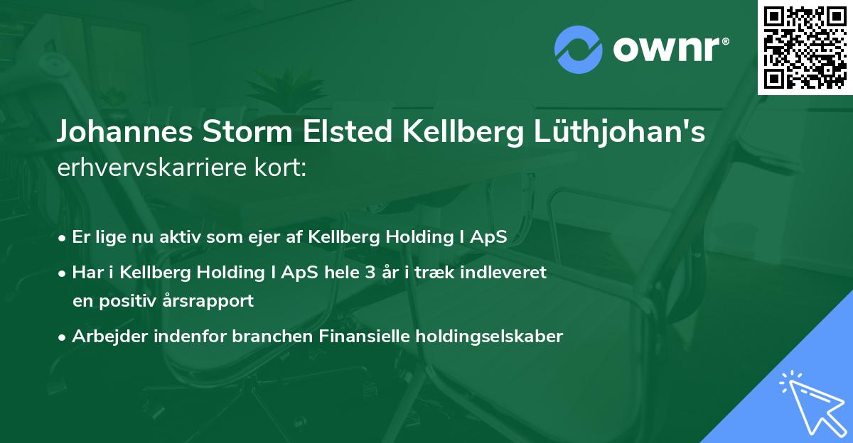 Johannes Storm Elsted Kellberg Lüthjohan's erhvervskarriere kort