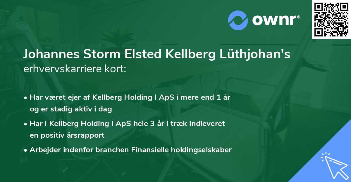Johannes Storm Elsted Kellberg Lüthjohan's erhvervskarriere kort