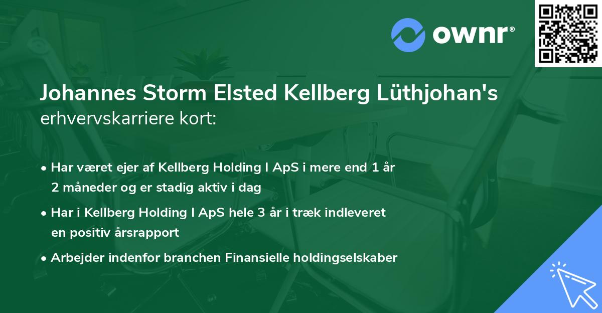 Johannes Storm Elsted Kellberg Lüthjohan's erhvervskarriere kort