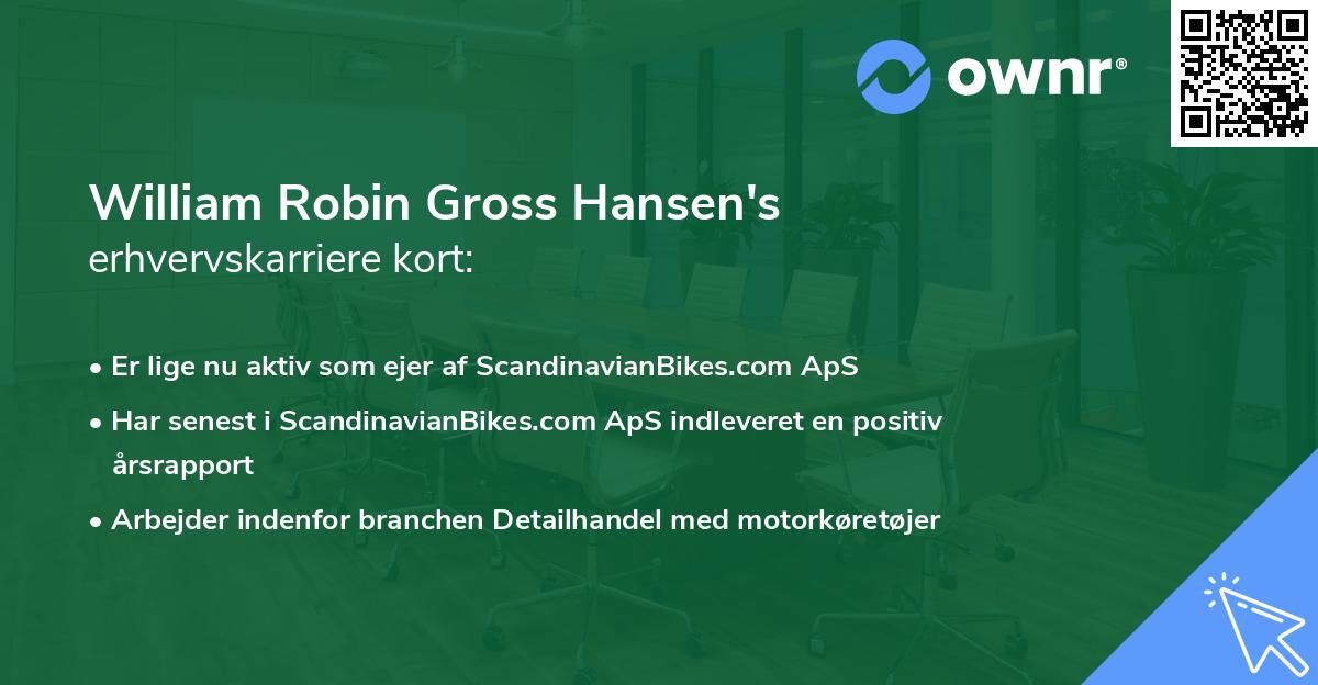 William Robin Gross Hansen's erhvervskarriere kort