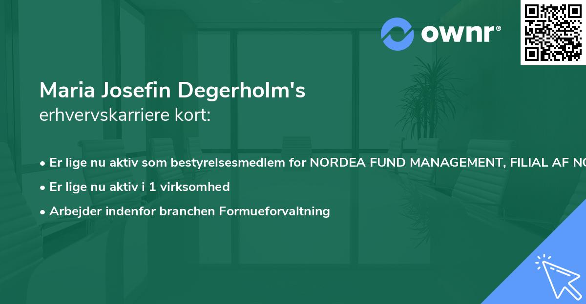 Maria Josefin Degerholm's erhvervskarriere kort