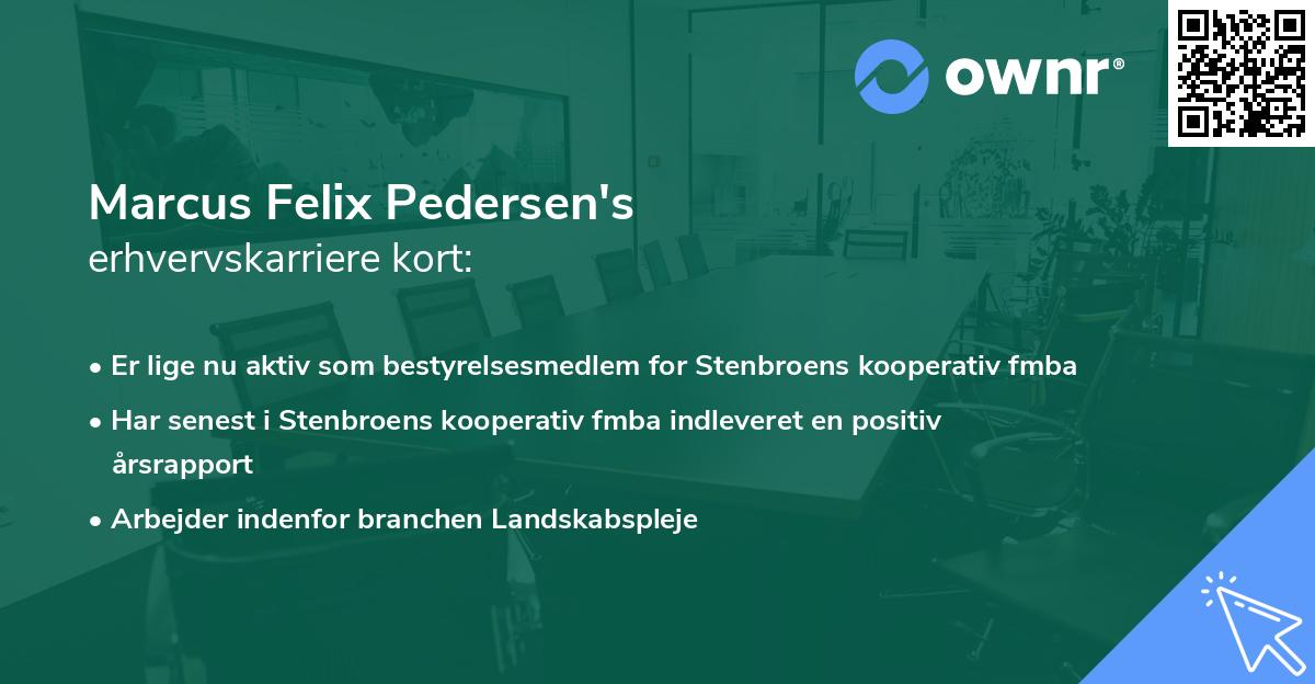 Marcus Felix Pedersen's erhvervskarriere kort