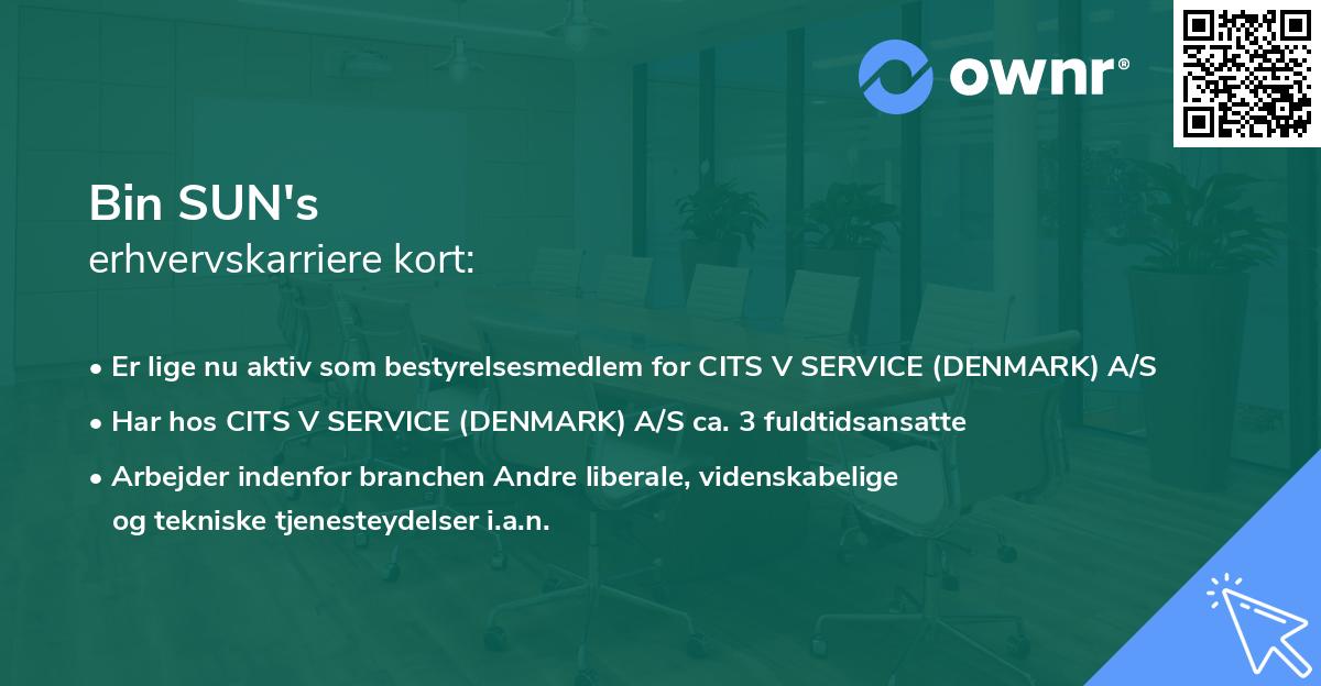 Bin SUN's erhvervskarriere kort