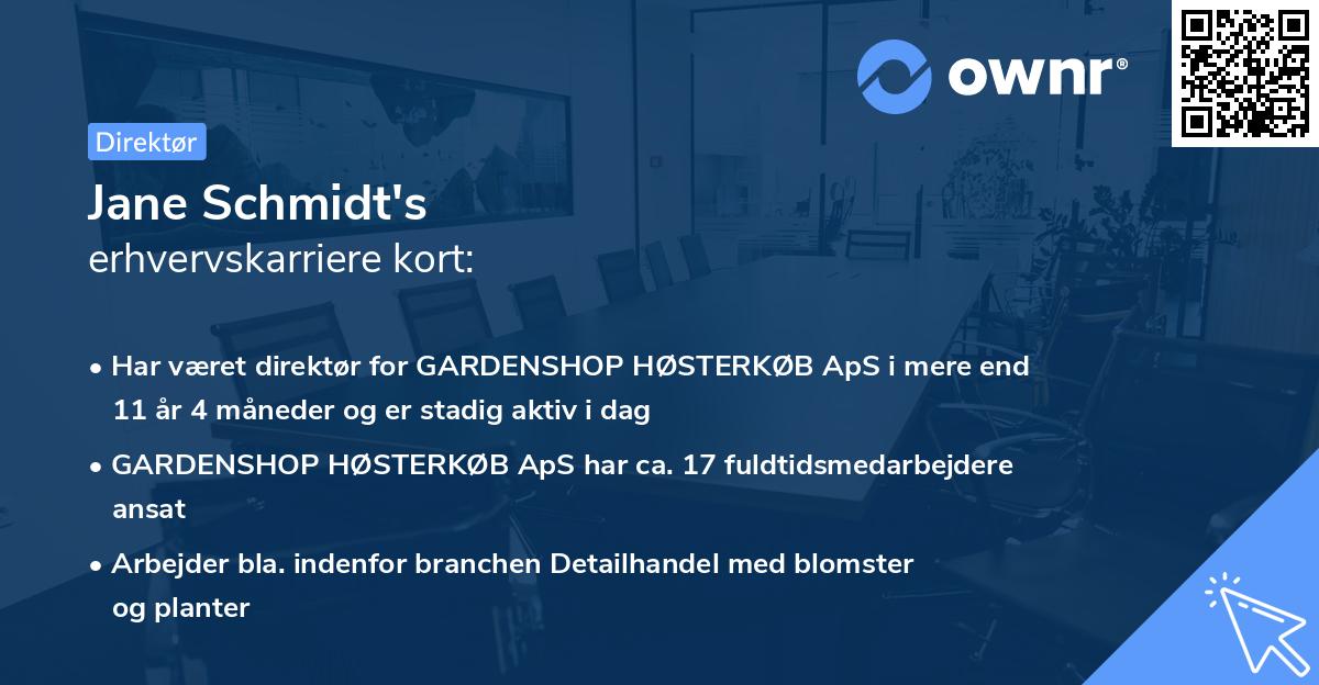 Jane Schmidt's erhvervskarriere kort