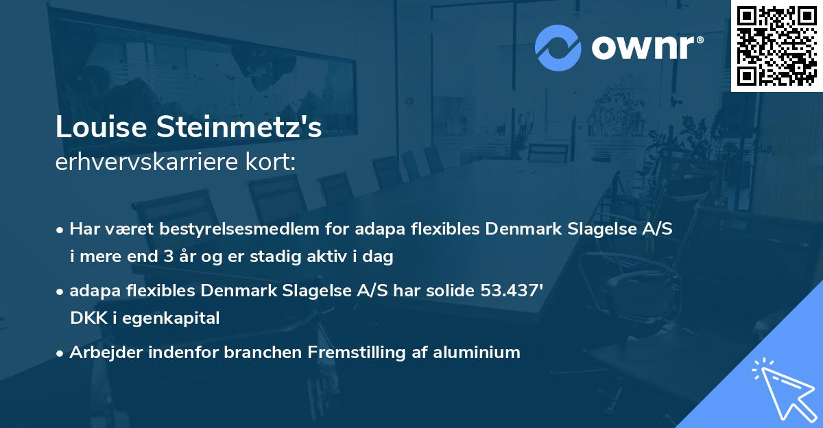 Louise Steinmetz's erhvervskarriere kort