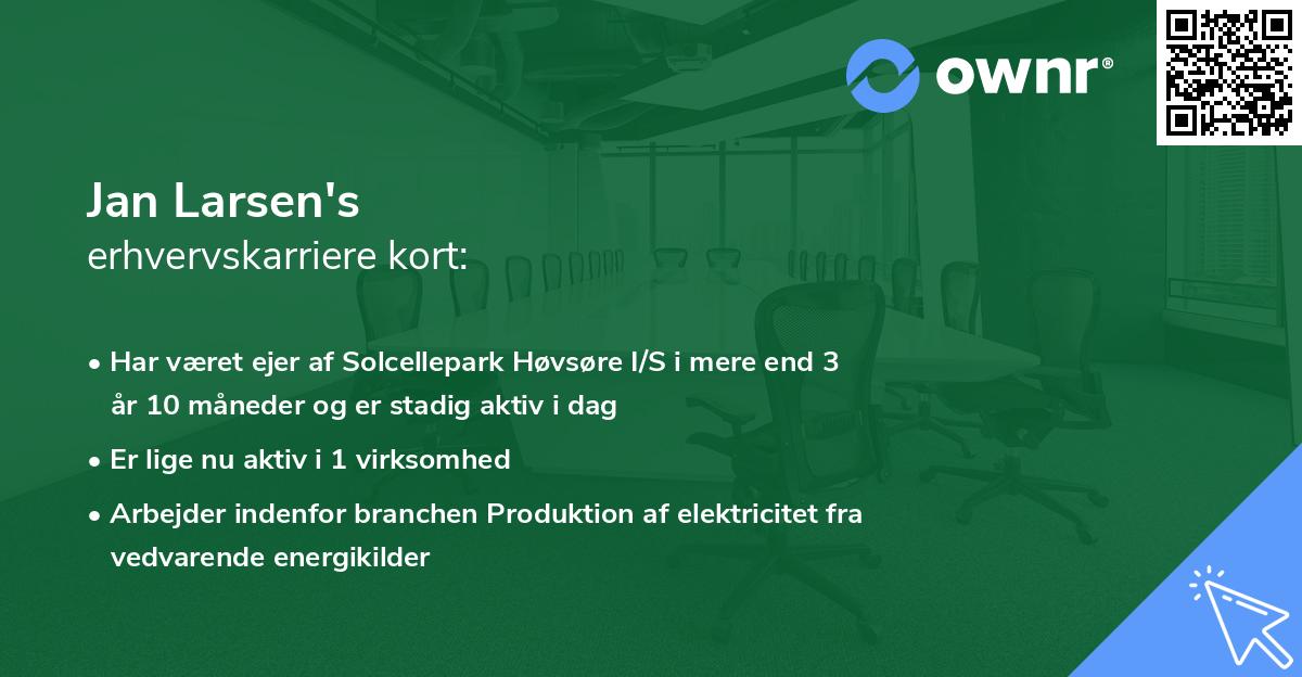 Jan Larsen's erhvervskarriere kort