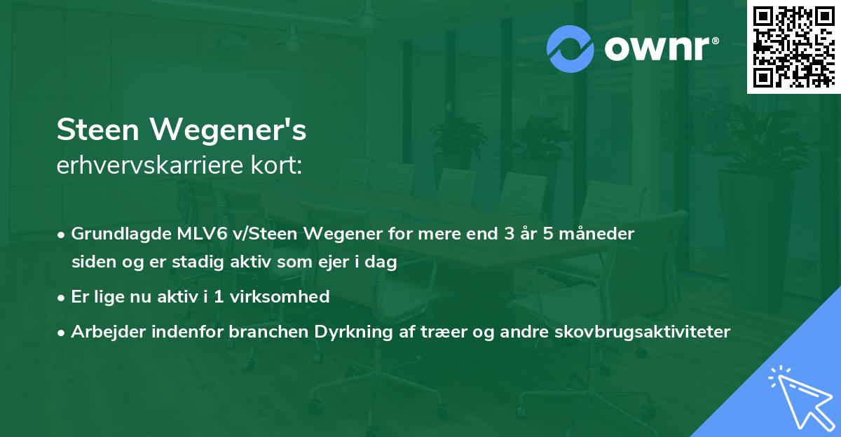 Steen Wegener's erhvervskarriere kort