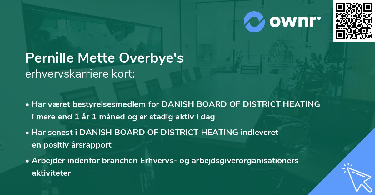 Pernille Mette Overbye's erhvervskarriere kort