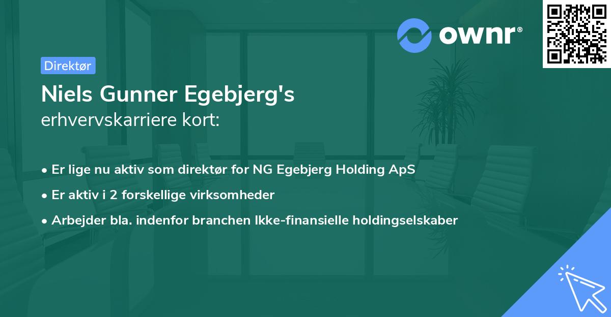 Niels Gunner Egebjerg's erhvervskarriere kort