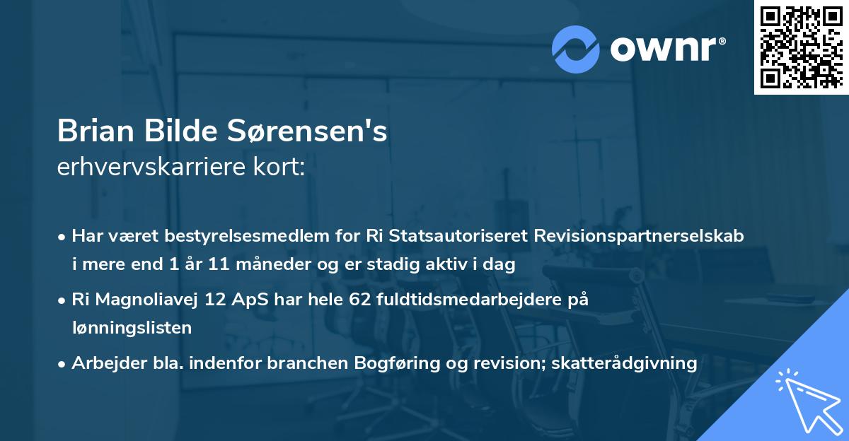 Brian Bilde Sørensen's erhvervskarriere kort