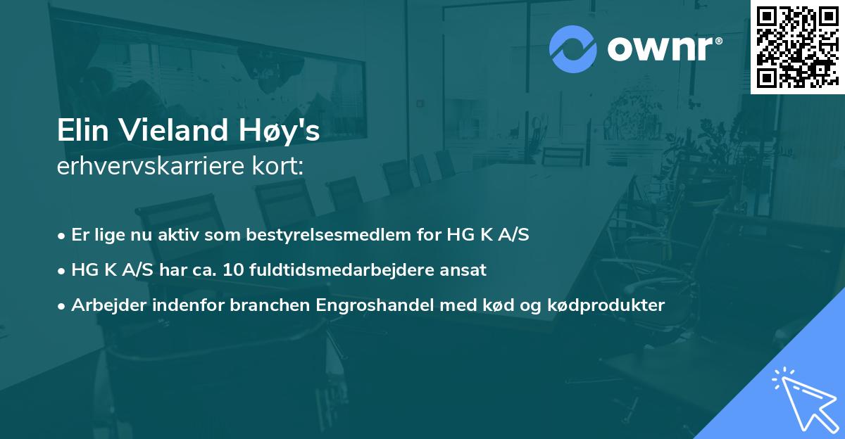 Elin Vieland Høy's erhvervskarriere kort