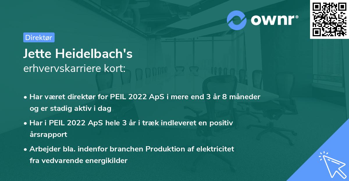 Jette Heidelbach's erhvervskarriere kort