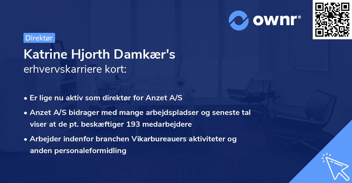 Katrine Hjorth Damkær's erhvervskarriere kort