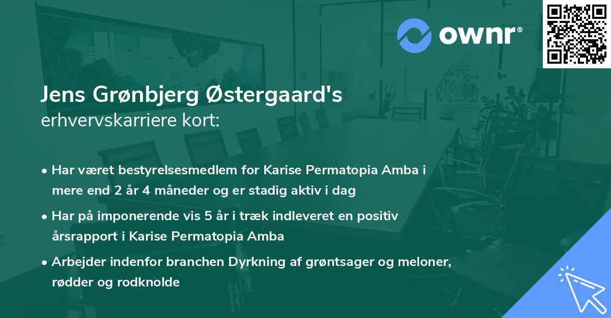Jens Grønbjerg Østergaard's erhvervskarriere kort
