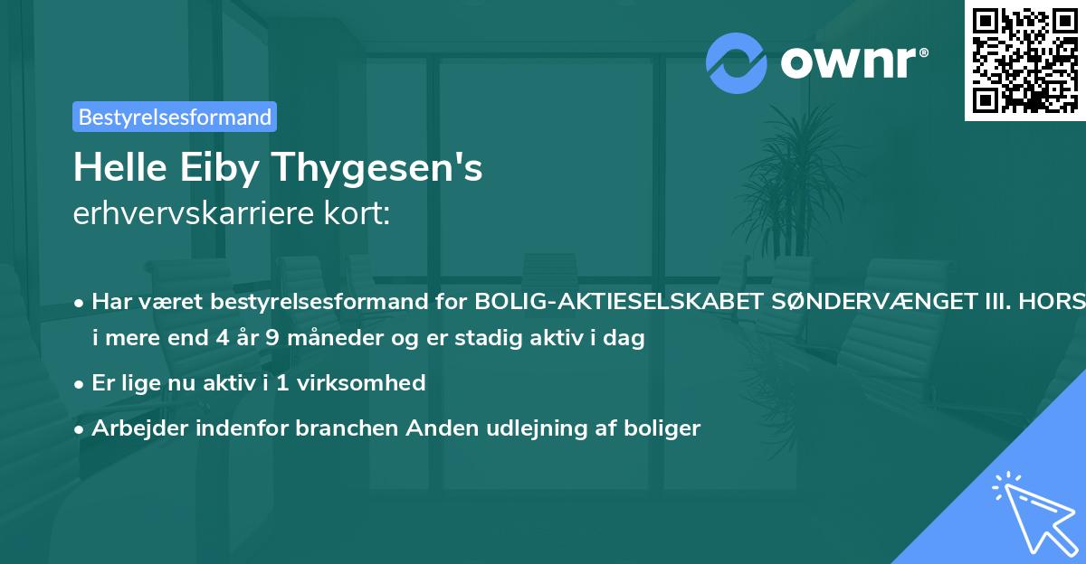 Helle Eiby Thygesen's erhvervskarriere kort