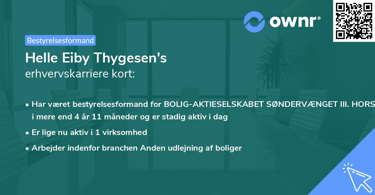 Helle Eiby Thygesen's erhvervskarriere kort