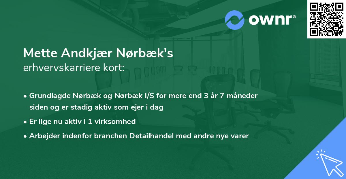 Mette Andkjær Nørbæk's erhvervskarriere kort