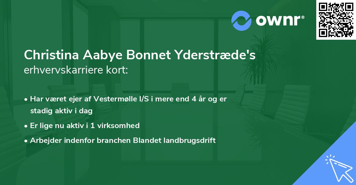 Christina Aabye Bonnet Yderstræde's erhvervskarriere kort
