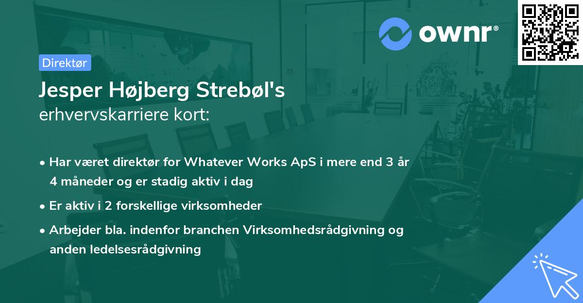 Jesper Højberg Strebøl's erhvervskarriere kort