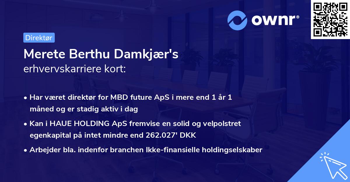 Merete Berthu Damkjær's erhvervskarriere kort