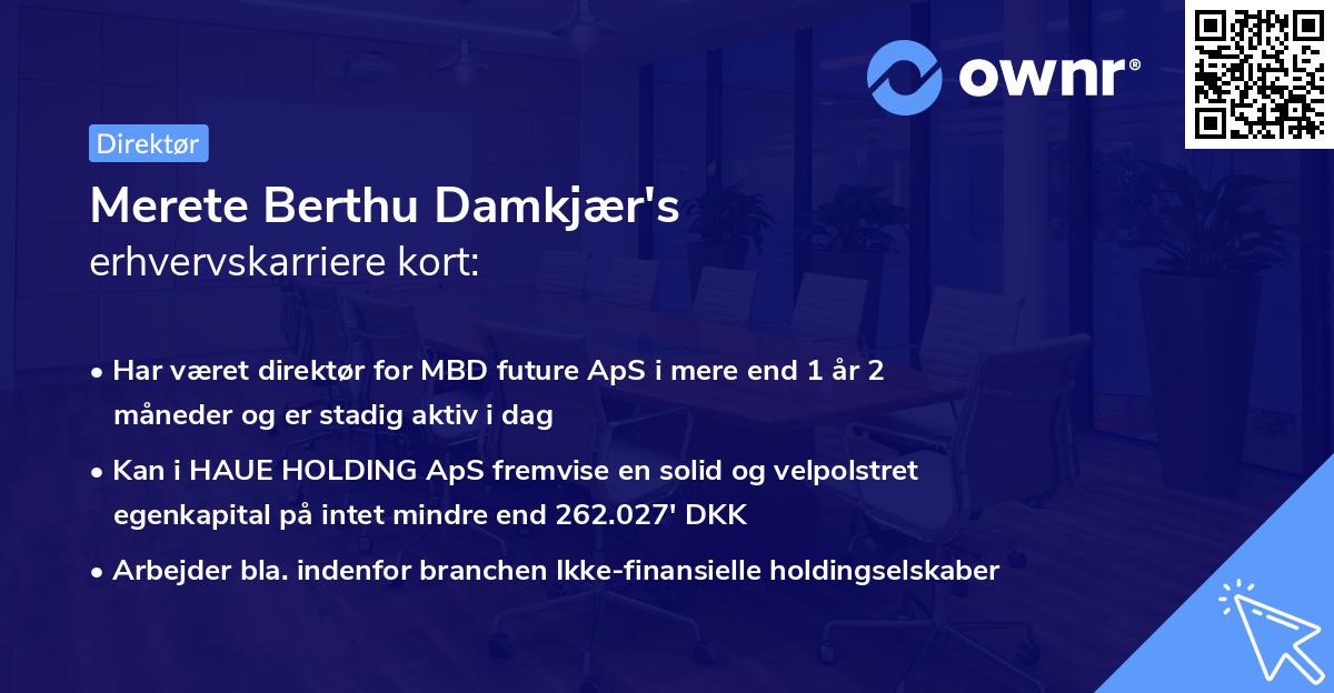 Merete Berthu Damkjær's erhvervskarriere kort