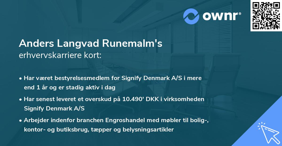 Anders Langvad Runemalm's erhvervskarriere kort
