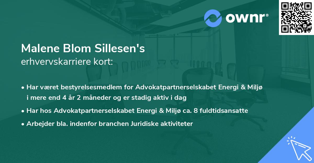 Malene Blom Sillesen's erhvervskarriere kort
